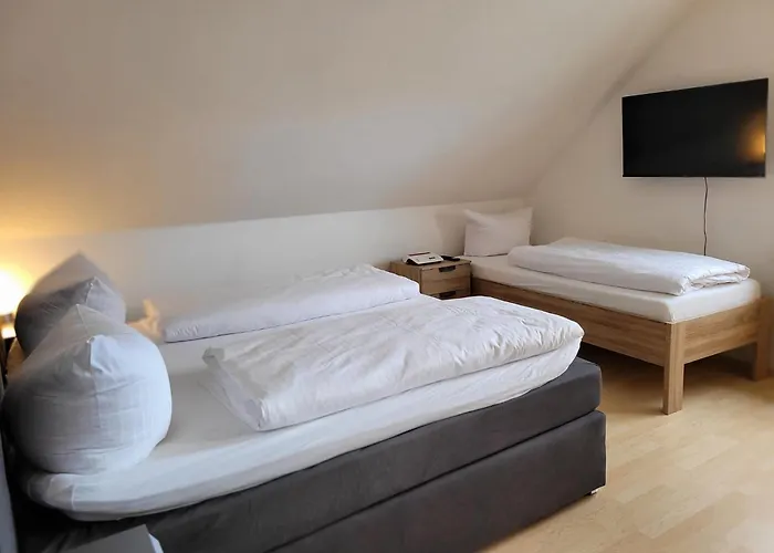 Apartments Muenchbach - Near Europa-Park And Rulantica